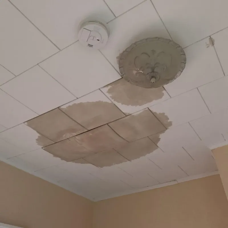 Ceiling Water Damage Repair in Manor, PA