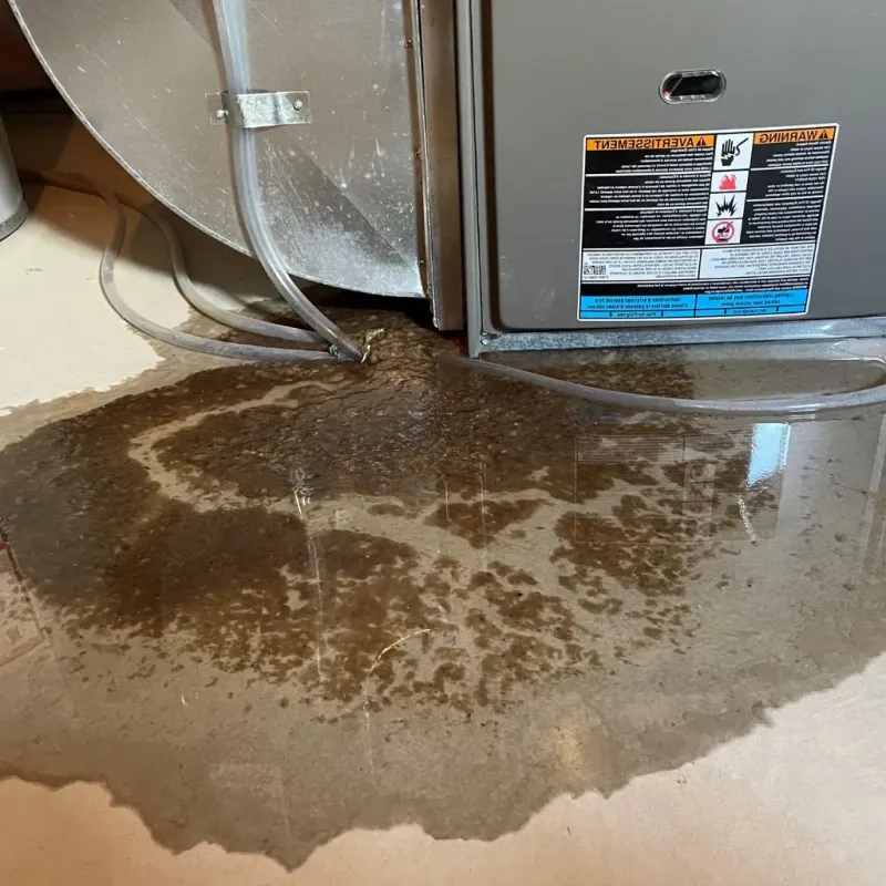 Pipe Burst and Leak Restoration in Manor, PA