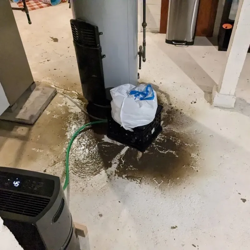 Sewage Backup Cleanup Service in Manor, PA